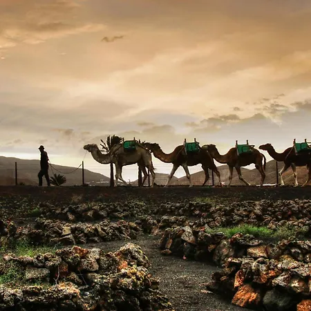 Home2book Serene Canary Style House, Garden & Pool Tatil Evi