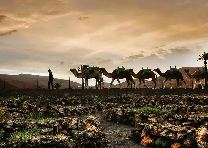 Cosy Villa Alegranza 105, Communal Pool, Private Garden Сasa de vacaciones