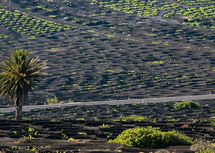 Cosy Villa Alegranza 105, Communal Pool, Private Garden 度假居 *